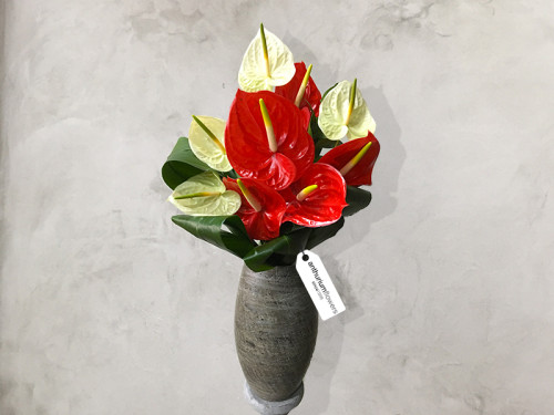Buchet 9 Anthurium 